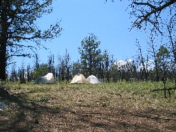Campsite at Dan Beard